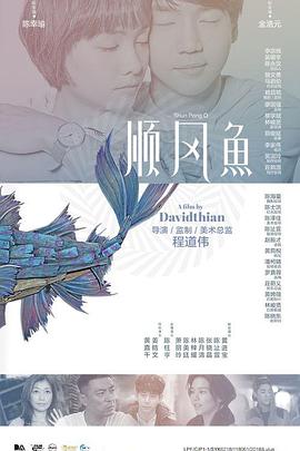 在线免费观看视频一区